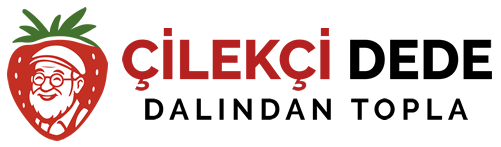 Çilekçi Dede